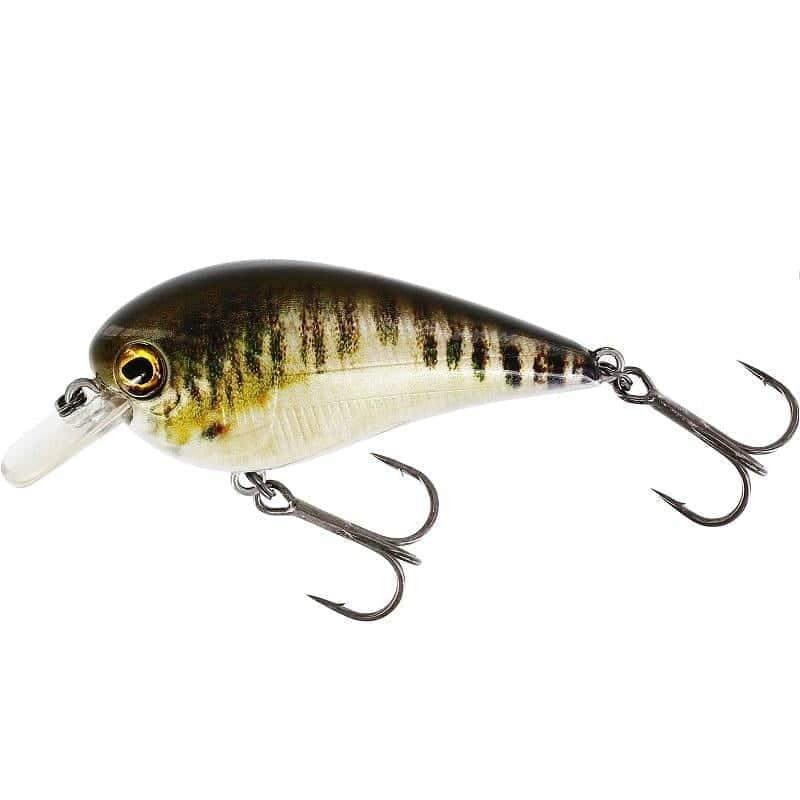 Westin BassBite 2.5 Squarebill 7cm 16g Floating Real Minnow från Westin