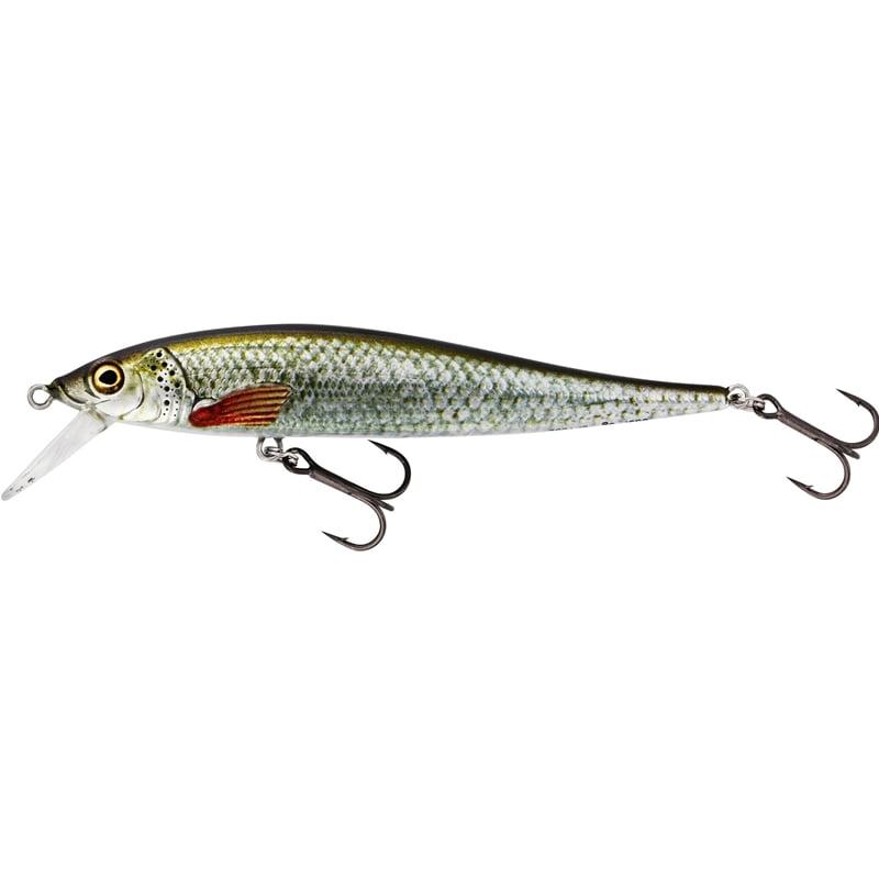 Westin Jerkbite SR Jerkbait 9cm 8g Suspending Real Roach från Westin