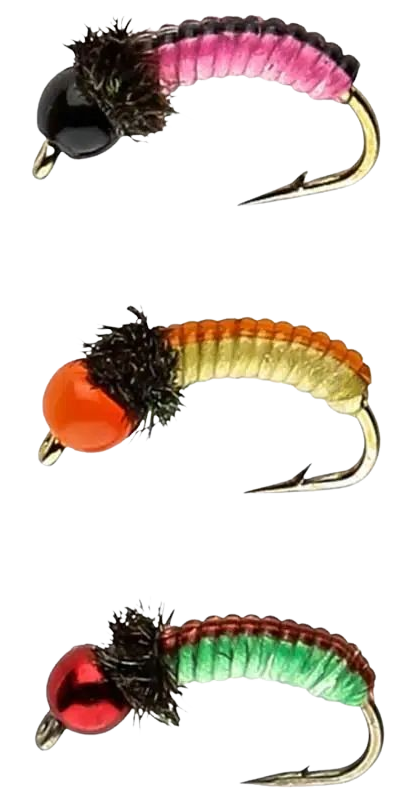 IFISH Grubs på tafs