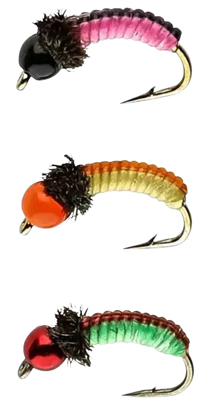 IFISH Grubs på tafs